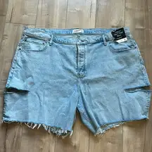 Abercrombie & Fitch NWT  7” Dad Shorts Curve Love High Rise Plus Sz 36/22