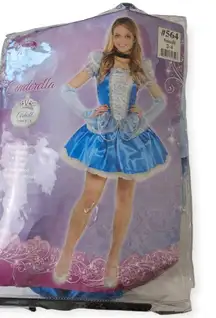 Princess Cinderella Halloween Costume Mini Dress