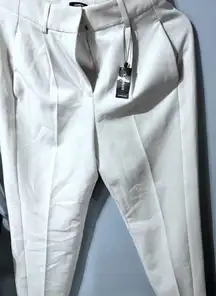 Express editor ankle pants