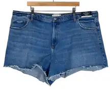 NWT Abercrombie & Fitch Denim Shorts Womens 36 Medium Wash 90s Relaxed Cutoff