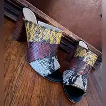 & Latimer Boho Snake Print Tri-Color Leather Mule - Size 9.5
