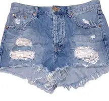 One X Teaspoon denim festival shorts size 27