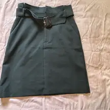 Banana Republic Elegant Green Skirt with Belt    size 6 tall