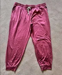 Kirkland Signature  Womens Pants Drawstring Pink Size XLarge