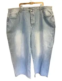 Pretty little things Womans  Boyfriend Button Fly  Jeans Sz 26W NWT