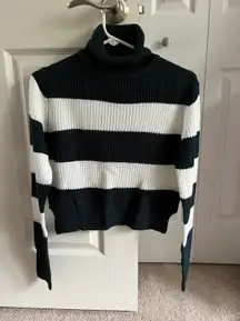 Turtle Neck Sweater