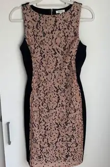 Weston Pink Black Lace Crewneck Bodycon Dress XS