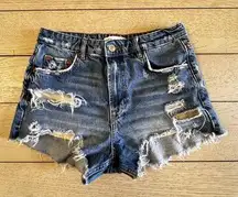 Zara The HW High Waist Frayed Denim Shorts Size 6