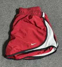 Dri-Fit Shorts