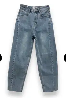 Vigoss Stitch Fix Parker Barrel Jeans NWT Size 31