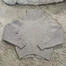 Aritzia Wilfred Sweater