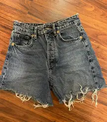 ZARA Shorts