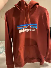 Patagonia Hoodie Rust