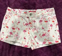 Pink Flamingo Shorts, Sz 8