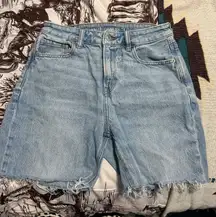 American Eagle Jorts 