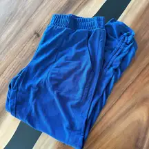 Fabletics Blue Modal Blend Jogger Athletic Pants L
