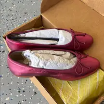 Anthropologie Maeve The Sabina Genuine Leather Ballet Flats