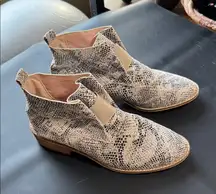 CCOCCI Snakeskin Ankle Booties in Black and Cream