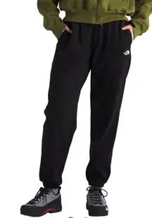 The north face sweatpants