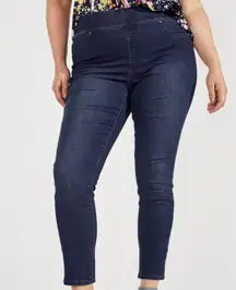 Dark Wash Jeggings