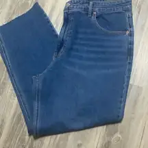 NWT Wild Fable High rise Straight leg ankle jeans Medium Wash Size 18/34 casual