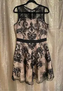 The Limited  black gold gothic lace fit & flare dress, 12 NWOT