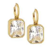 NWOT Roxanne assoulin earrings