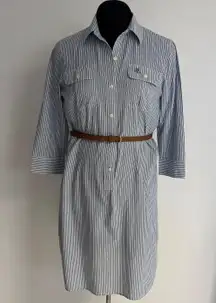 RL Striped Shirt Dress