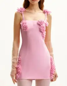 JW PEI Elaina Pink Rosette Applique Mini Dress Size 10