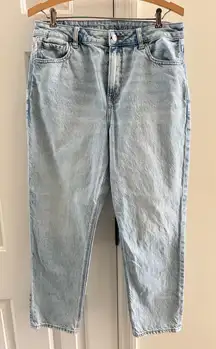 American Eagle Strigid Light Blue Denim Size 10 Short Jeans Straight