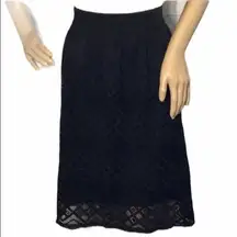 Joe B by Joe Benbasset Lace Overlay A-line Skirt Juniors XL