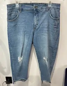 Style & Co Distressed‎ Denim Cropped Jeans Straight Leg Light Wash 14W