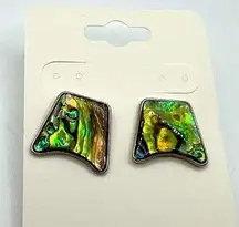 Natural Abalone Shell Stud Earrings Multicolor Unique Abstract Design Earrings