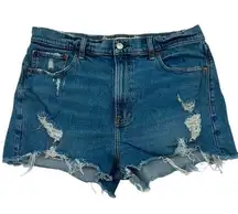 Abercrombie & Fitch The Mom Short High Rise size 31/12