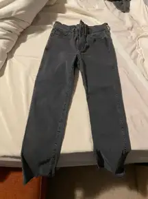 Lila Ryan Stitch Fix Espresso Brown Giselle Trousers Size 10P 15 From Claudia