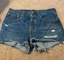 Levi 501 Denim Button Fly Jean Shorts