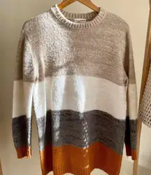 Colorblock Striped Crewneck Sweater in Beige/Burnt Orange - S
