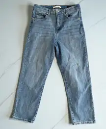 ELLA MOSS High Rise Waist Straight Jeans Size US 8 / 29