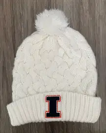 uiuc winter hat beanie