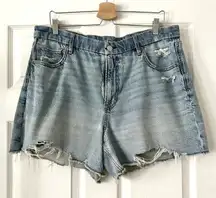 American Eagle Curvy Relaxed Denim Shorts Sz 18