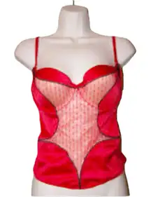 Jezebel USA Red Lingerie Push Up Bustier Corset Bra Top Size 36D Sexy Intimates