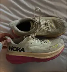 Hoka Shoes