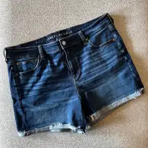 Outfitters Jean Shorts