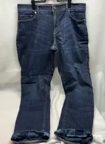 L.L.Bean Women's Jeans Size 14 Regular Flannel Lined Blue Denim Warm Winter