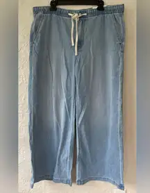 AE Stretch Low-Rise Ultra Wide-Leg Light Wash Pull-On Jean, Elastic Waist; XL