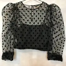 ZARA  Sheer Black Polka Dot Crop Blouse w/Cami XS