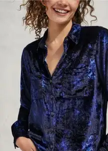Relaxed Blue Velvet Colorful Luxury Holiday Blouse‎ 8 Pilcro Anthropologie Mara