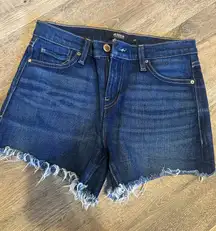 Hudson Dark Denim Shorts