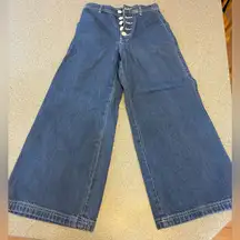 BDG Wide Leg Cropped Jeans