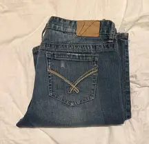 Vanity Jeans Collection